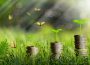 Money Plants Growth Coins Finance  - Orlandow / Pixabay